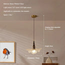 Axyaa LED Glass Lampshade Chandelier for Living Room, Bedroom, and Cafe Lighting