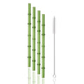 Axyaa Glass Straws Set of 4 with Cleaning Brush