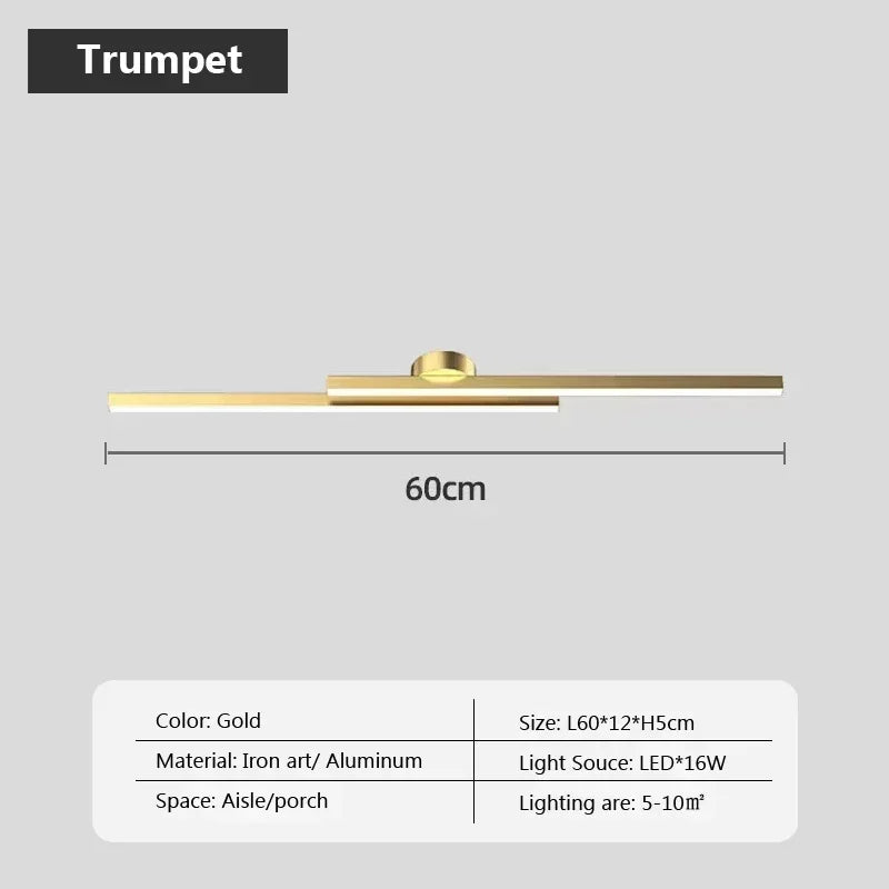 Axyaa Black Gold LED Ceiling Light 60/80cm Modern Living Room Bedroom Decor Lighting