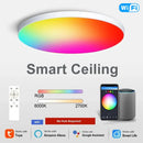 Axyaa Smart RGB Ceiling Light: Voice Control, Dimmable, WiFi, App Control