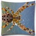 Axyaa Spider Butterfly Print Pillow Case for Home Decor