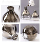 Axyaa Silver Gradient Glass Vase: Creative Terrarium & Jewelry Holder