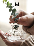 Axyaa Glass Pomegranate Vase: Home Hydroponic Flower Arrangement and Desktop Decoration