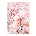 Axyaa Sakura Rose Peony Hot Air Balloon Wall Art Canvas Painting