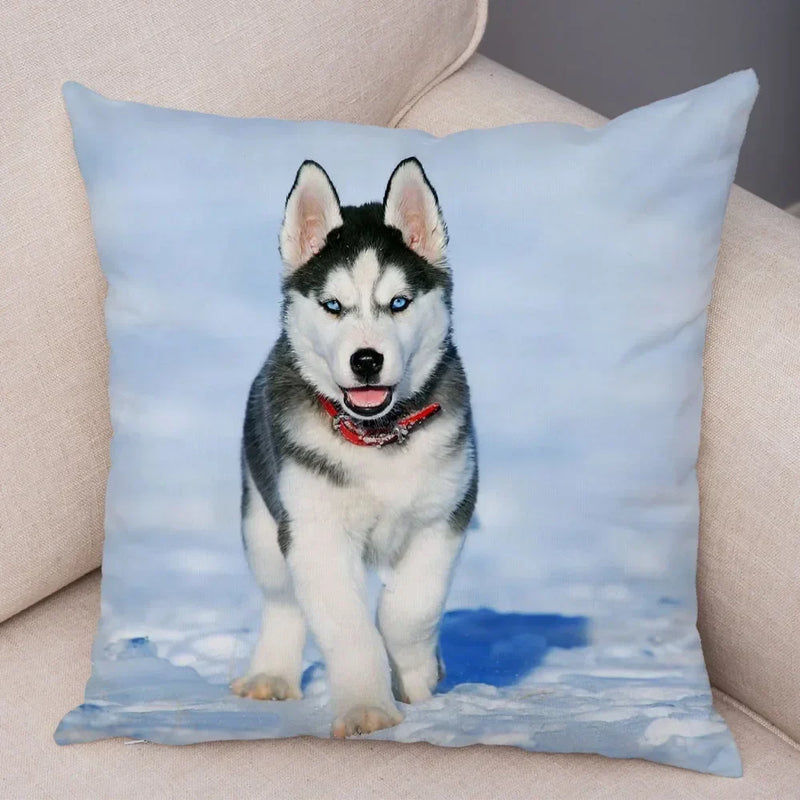 Axyaa Siberian Husky Pet Sofa Cushion Cover - Cute Dog Print Pillowcase Decor