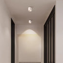 Axyaa LED Ceiling Spotlight: Anti Glare, Adjustable Angle, Surface Mounted Tube Lamp.