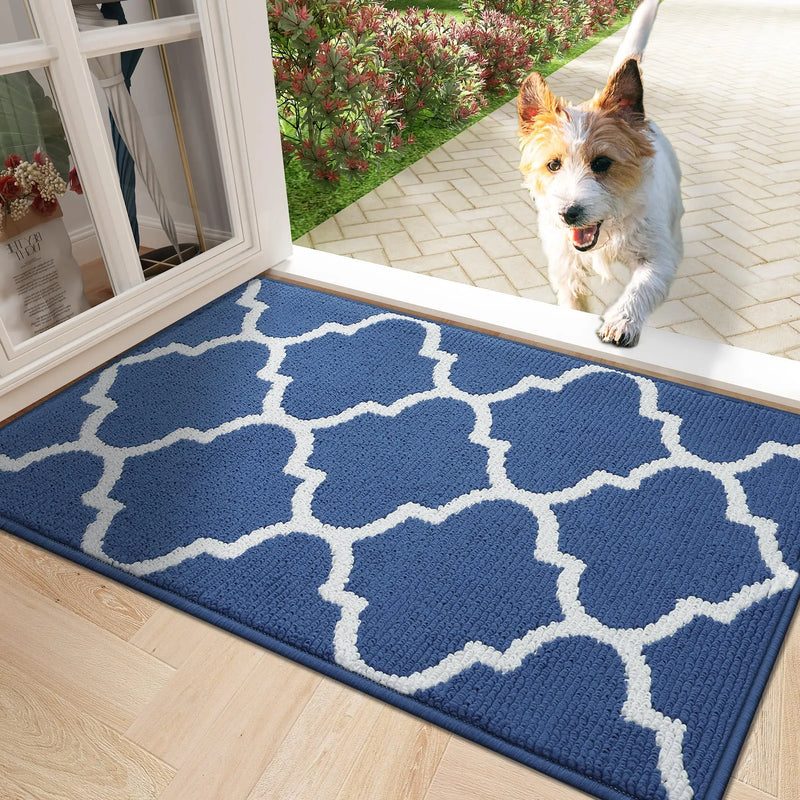 Axyaa Super Absorbent Microfiber Large Doormat 61x120 Washable Entrance Rug