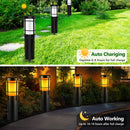 Axyaa Solar Flame RGB Pathway Lights for Outdoor Landscape Decor