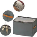 Axyaa Shoe Storage Box: Foldable Dust-proof Organizer for Wardrobe and Socks