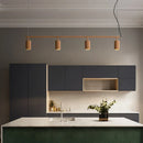 Axyaa Modern Chandelier Hanging Lights for Living Room, Bedroom, Kitchen