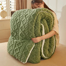 Axyaa Arctic Fleece Quilt - Warm Double-sided Solid Color Milk Fleece - 2024 Winter