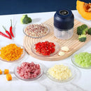 Axyaa Electric Mini Garlic Chopper Stainless Steel Mincer Grinder for Kitchen