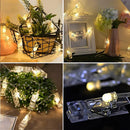 Axyaa LED Photo Clips String Lights - Bedroom & Party Decoration
