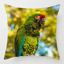 Colorful Parrots Decorative Cushion Cover by Axyaa - 45x45cm