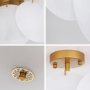 Axyaa Modern Light Luxury Glass Ceiling Chandelier for Home Décor