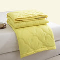 Axyaa Summer Cool Quilt - Breathable Washed Cotton, Skin-Friendly & Print Design