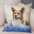 Corgi Pembroke Dog Pattern Pillowcase by Axyaa - Decorative Print for Home Shopping