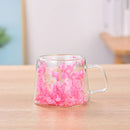 Axyaa Double Layer Glass Coffee Cup with Handle - 200ML Dried Flower Insulated Teacup