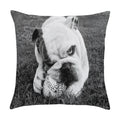 Axyaa Cute Pet Puppies Black and White Art Peach Skin Pillowcase