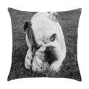 Axyaa Cute Pet Puppies Black and White Art Peach Skin Pillowcase