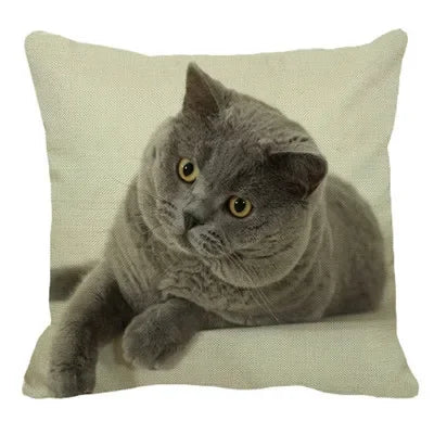 Axyaa British Shorthair Cat Pillow Cover 45X45cm Square Cushion