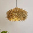Axyaa Straw Hat Pendant Chandelier, Nordic Retro Rattan LED Drop Lamp