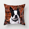 Axyaa French Bulldog Cushion Cover - 45X45CM