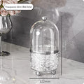 Axyaa 360° Rotating Makeup Brushes Holder & Cosmetic Organizer for Clear Jewelry Container