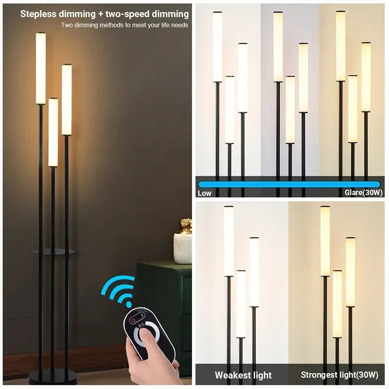 Axyaa Nordic Living Room LED Floor Lamp - Modern, Simple, Infinite Dimming