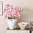 Axyaa White Ceramic Vase for Home Decor, Large Caliber Vase for Living Room and Dining Room