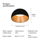 Axyaa Wood Grain Personality LED Ceiling Light for Bedroom, Living Room, Study