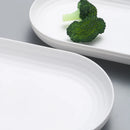 Axyaa 4/6 PP Oval Plates: Reusable for Family Kitchen, Picnics & Restaurants