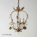 Axyaa Iron Crystal Chandelier: Elegant Lighting for Home, Restaurant, and Retail Spaces