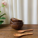 Axya Coconut Bowls Set: Handcrafted Tableware for Fruit, Desserts, Soup, and More