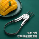 Axya Stainless Steel Mango Cubes Extractor & Pulp Separator