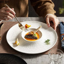 Axyaa Stone Patterned Ceramic Dinner Pasta Salad Dessert Sashimi Plates Molecular Cuisine Tableware.