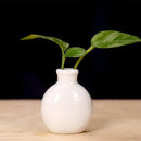 Axyaa Mini Ceramic Vase 7.5x6cm Desktop Decoration for Home Décor and Props
