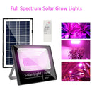Axyaa 200W Full Spectrum LED Solar Grow Light for Indoor Outdoor Plants