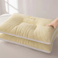 Axyaa Ice Silk Jelly Pillow with Antibacterial Nylon Ammonia Core & Cool Black Technology