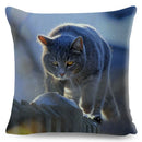 Axyaa Cat Pet Animal Cushion Cover - Cute British Shorthair Russian Blue Pillowcase