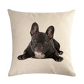 Axyaa Cute Pet Dog Pattern Linen Pillowcase for Home and Office Decor 45*45cm