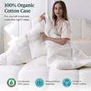 Axyaa Feather & Down Comforter, Organic Duvet Insert, All Season Warm