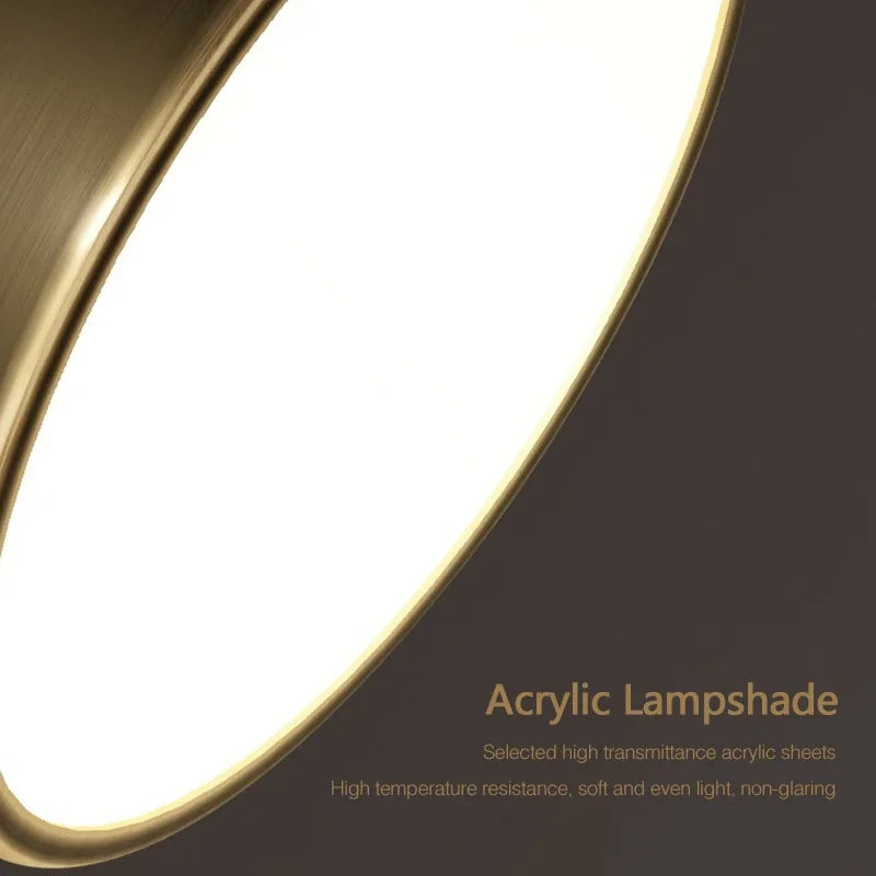 Axyaa Rotatable LED Ceiling Light: Modern Round Fixture for Home Decor.