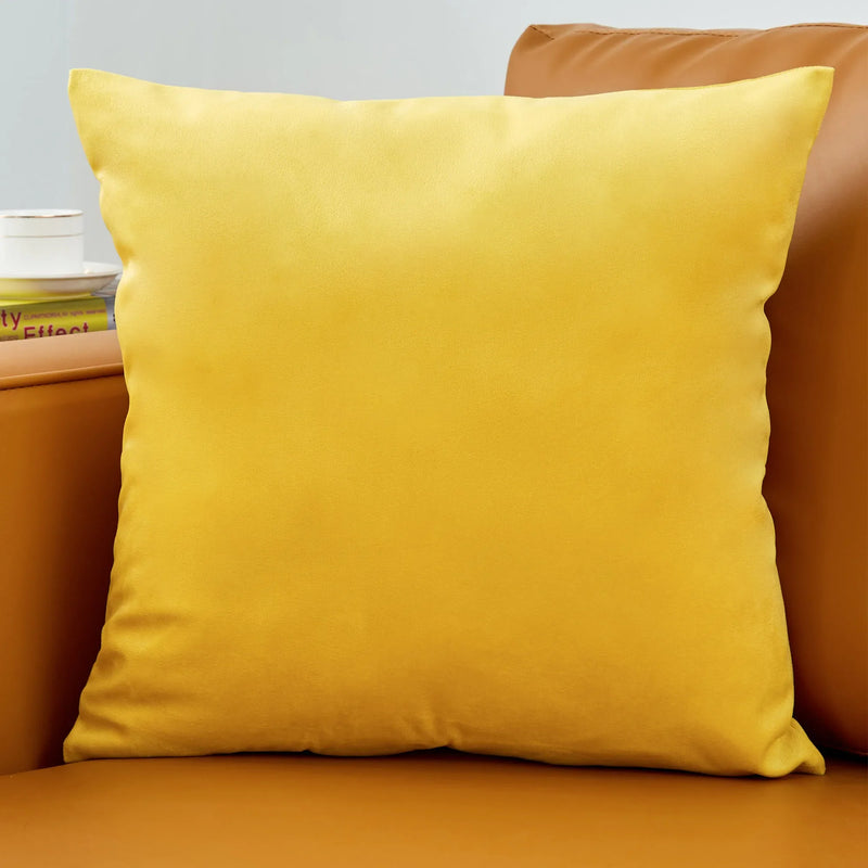 Axyaa Velvet Throw Pillow Cover - Ultra Soft Comfortable Home Decoration