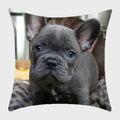 Axyaa French Bulldog Polyester Cushion Cover - Modern Sofa Throw Pillow Cover