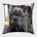 Axyaa French Bulldog Polyester Cushion Cover - Modern Sofa Throw Pillow Cover