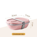 Axyaa Two-Compartment Portable Lunch Box with Detachable Salad Cup.