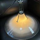 Axyaa Magnolia Glass Pendant Light - Modern LED Bedroom Dining Lamp
