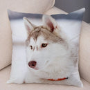 Axyaa Siberian Husky Pet Sofa Cushion Cover - Cute Dog Print Pillowcase Decor