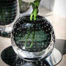 Axyaa Bubble Glass Vase: Hydroponic Planter Flower Arrangement Decor Vessel